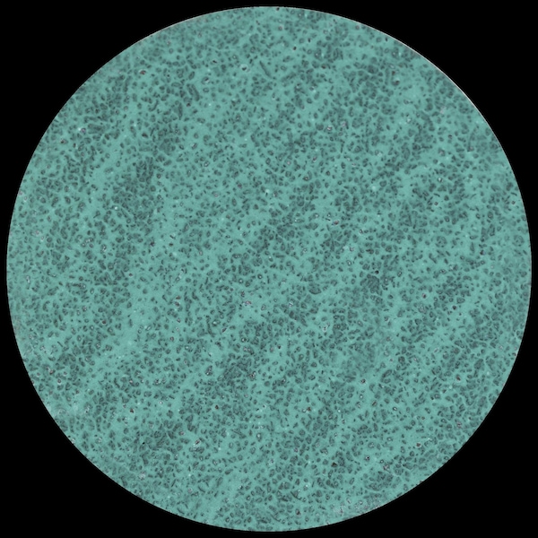 Tryolit Abrasives TYROLIT Premium 2" 80 Grit Type-R Ziconium Grinding Disc for Steel and Stainless Steel, ZA-P48 PE Y 112413 - main